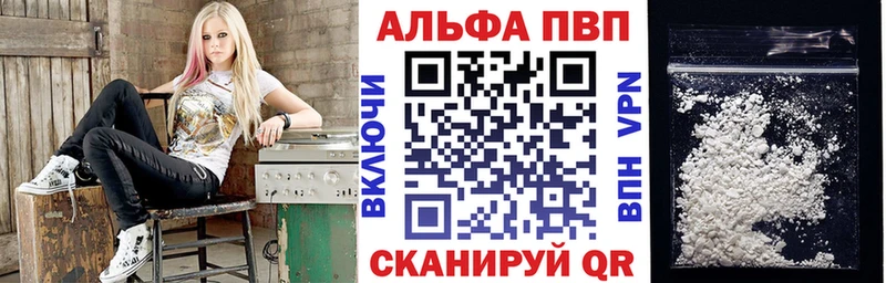 Альфа ПВП СК  Хасавюрт 