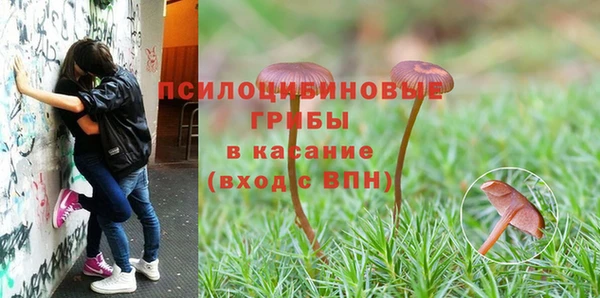 стафф Балабаново