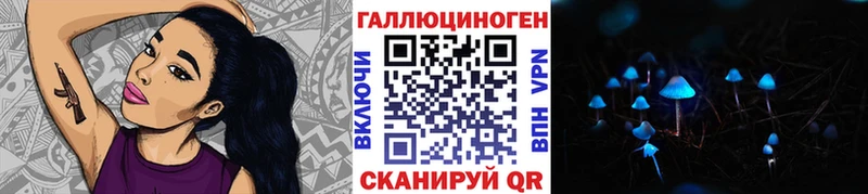 Псилоцибиновые грибы мицелий  блэк спрут ссылки  Хасавюрт  где продают наркотики 